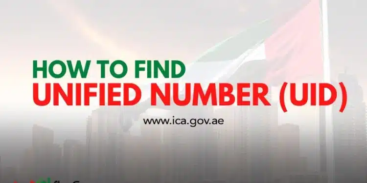 Find UID Number