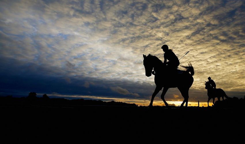 Horse racing is one of the most popular sports in the UAE